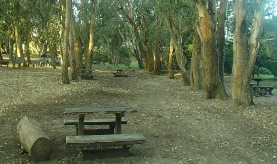 vivero municipal Cosme Argerich